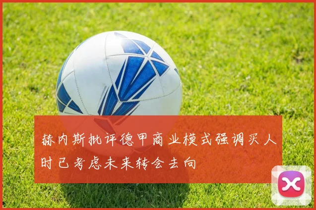 赫内斯批评德甲商业模式强调买人时已考虑未来转会去向